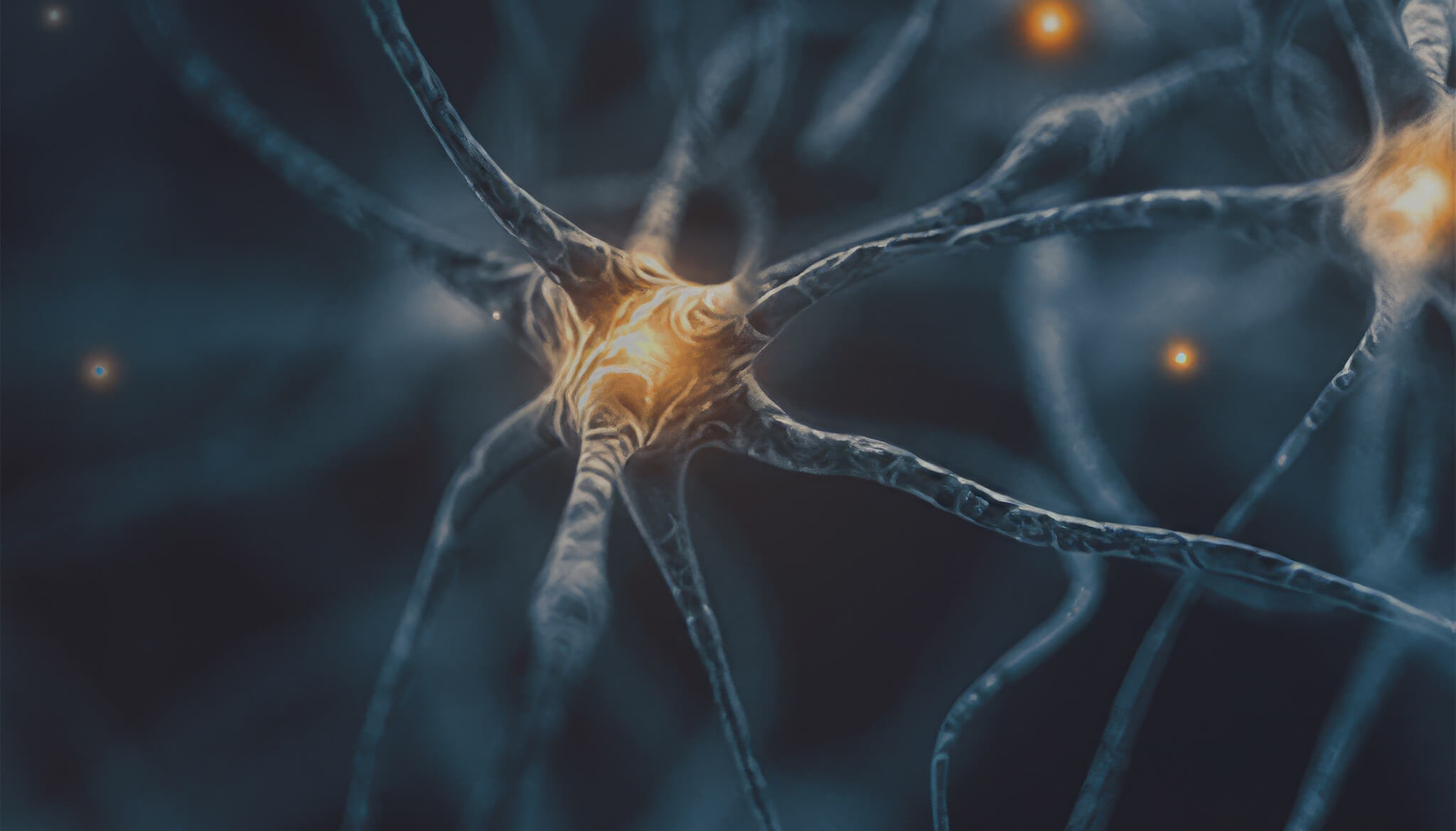 A New Approach to Migraine Prevention