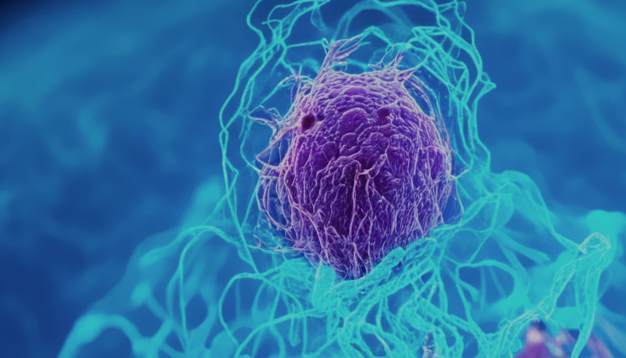 Redefining Precision Oncology, One Alteration at a Time