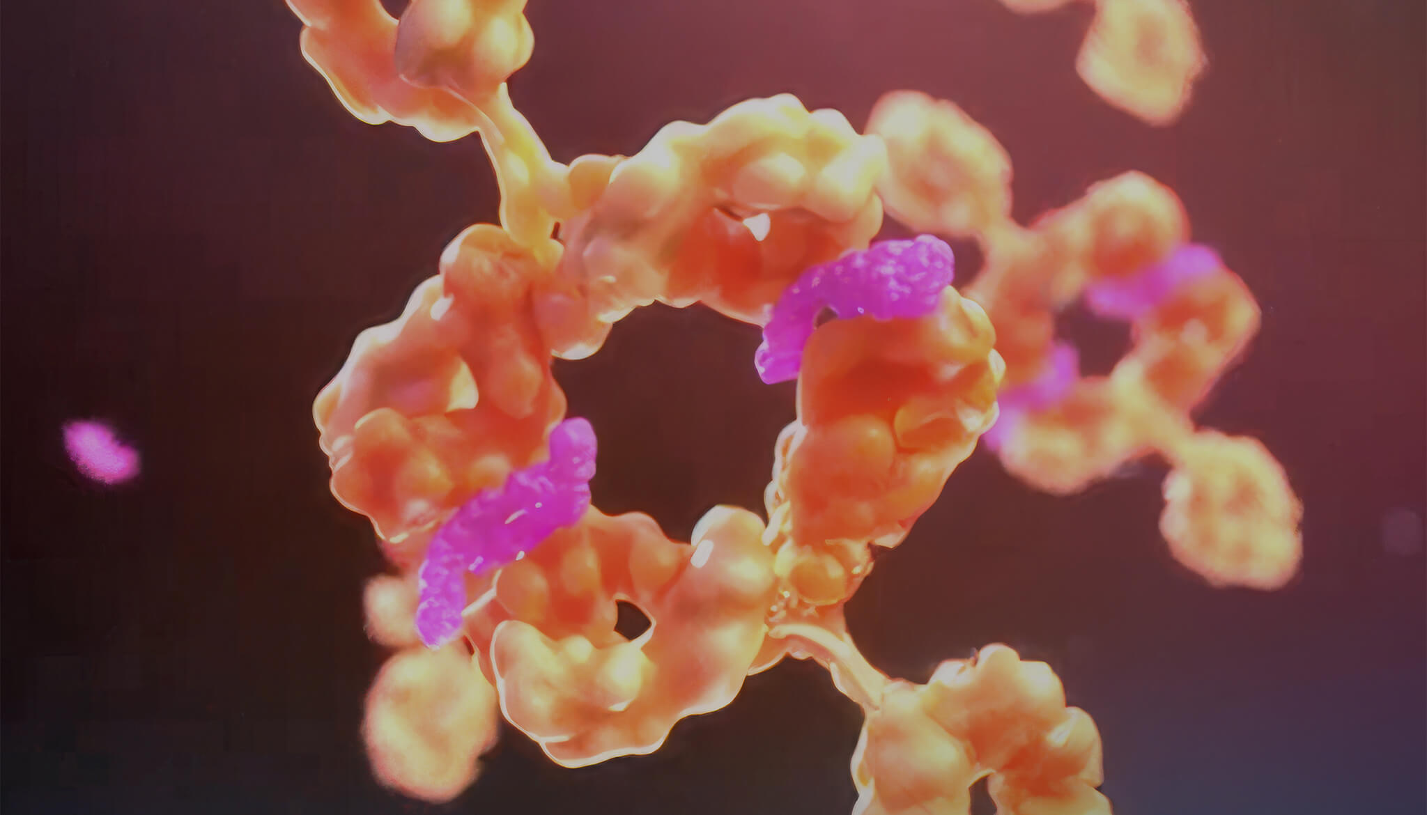 Catalyzing Immunotherapy