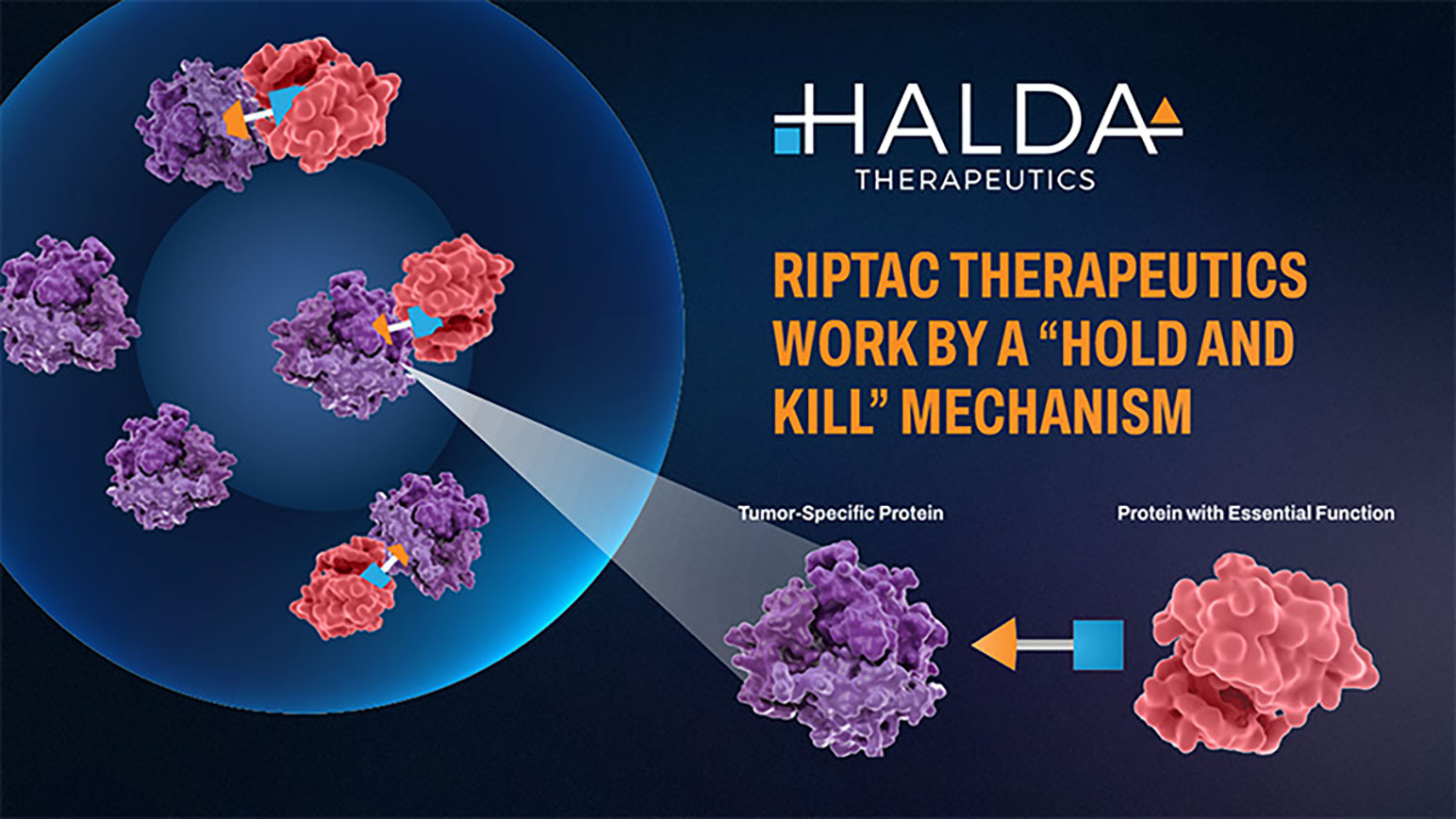 Our Team is Excited About the $3.05B Acquisition of Our Portfolio Company, Halda Therapeutics, by Johnson & Johnson