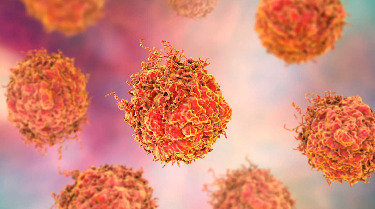 Advancing Hope for Prostate Cancer Patients: Johnson & Johnson Acquires Halda for $3.05B