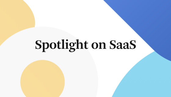 SaaS portfolio momentum