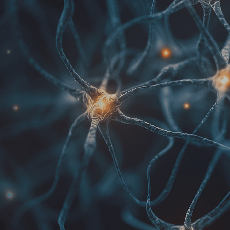 A New Approach to Migraine Prevention