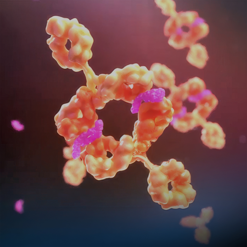 Catalyzing Immunotherapy
