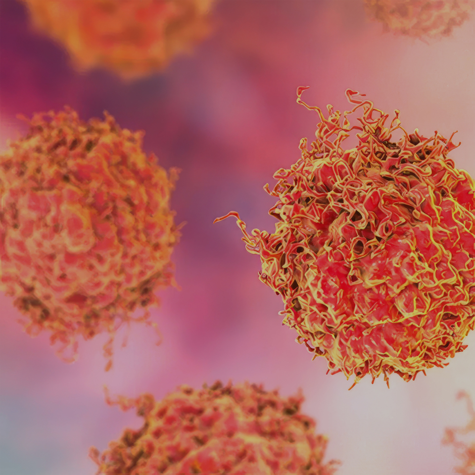 Taking Hold on Cancer with a New Drug Modality